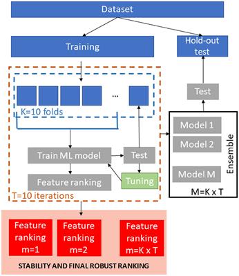 Brain Age Prediction With Morphological Features Using Deep Neural Networks: Results From Predictive Analytic Competition 2019